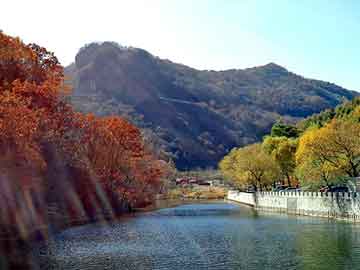 澳门期期准免费精准，日本山田气动隔膜泵